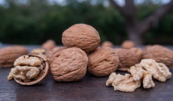 Primer plano de nueces Chandler en su cáscara, listas para exportación a mercados internacionales.